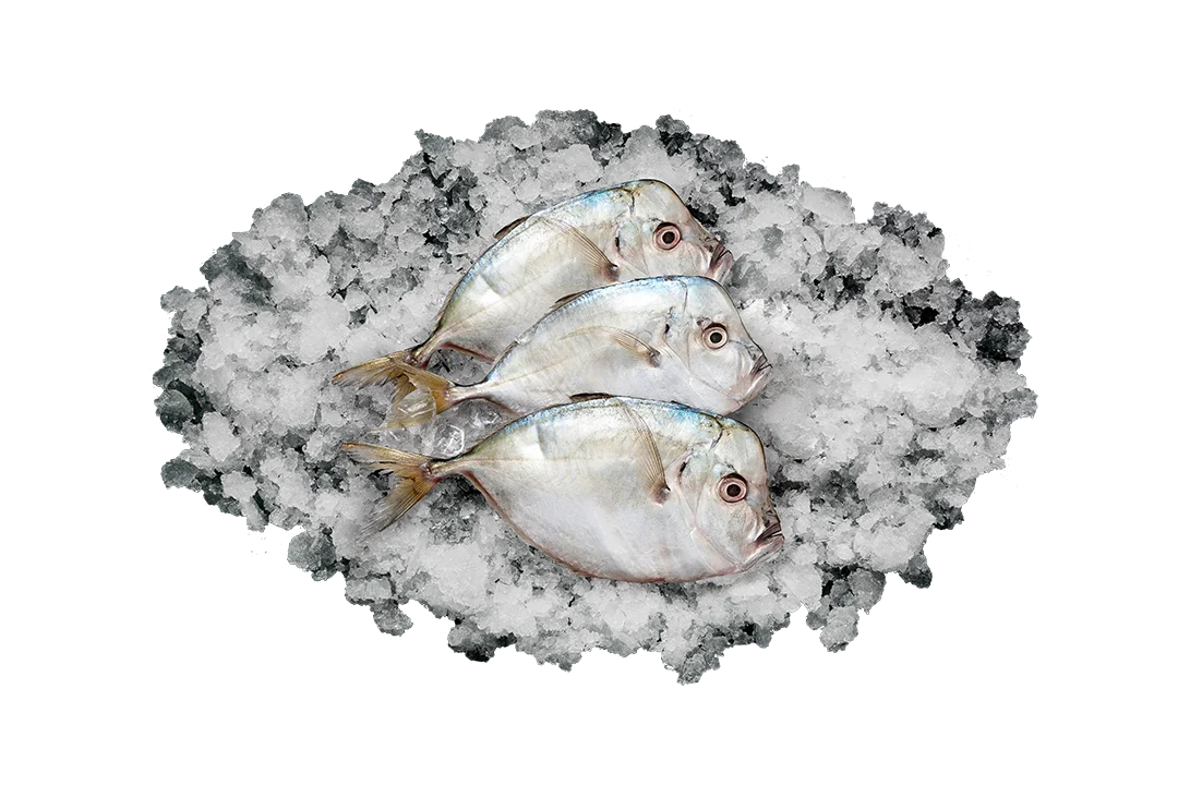 Вомер