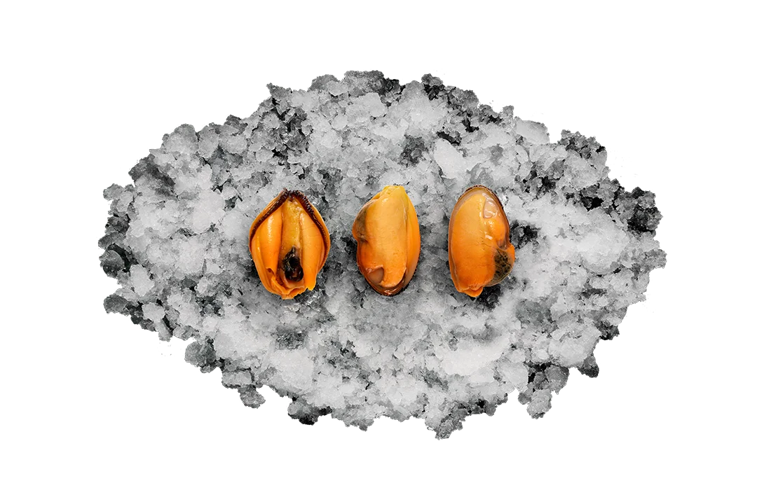 Мясо мидий